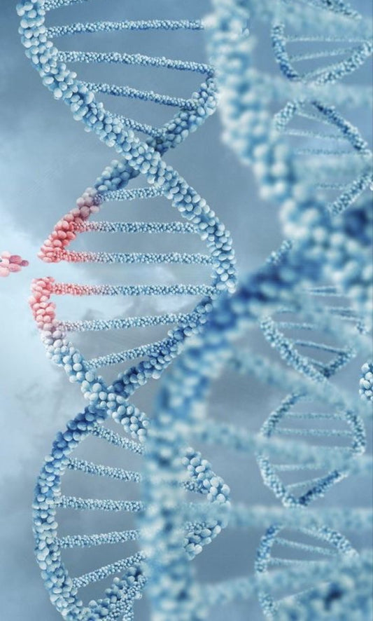 Joint and Wound Healing