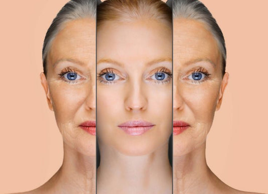 Organ Health and Anti-Aging