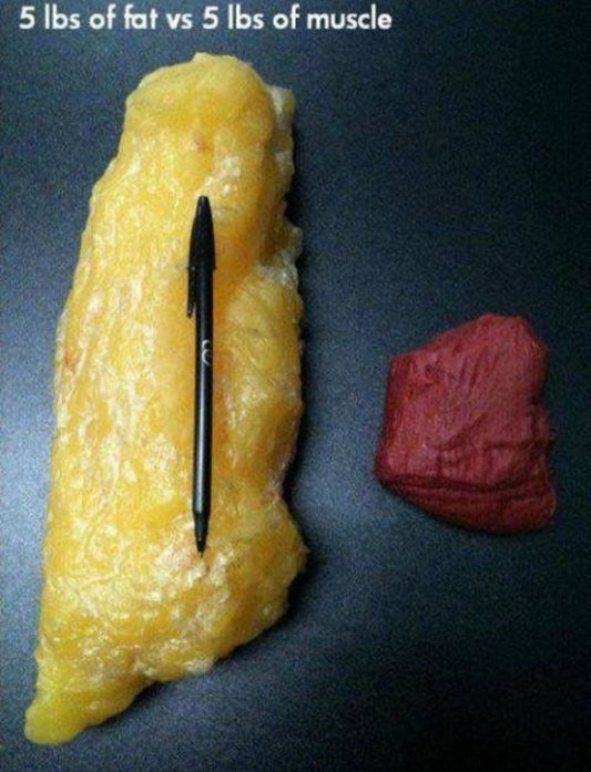 Body Fat Reduction