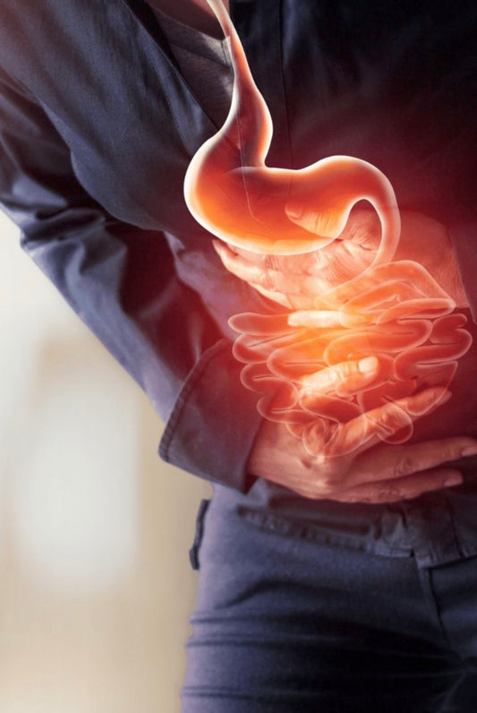 Gut Health